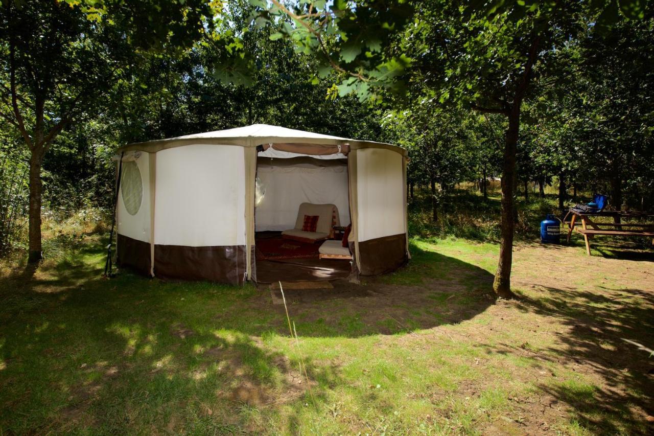 Dgg Woodland Escape Hotel South Barrow Ngoại thất bức ảnh