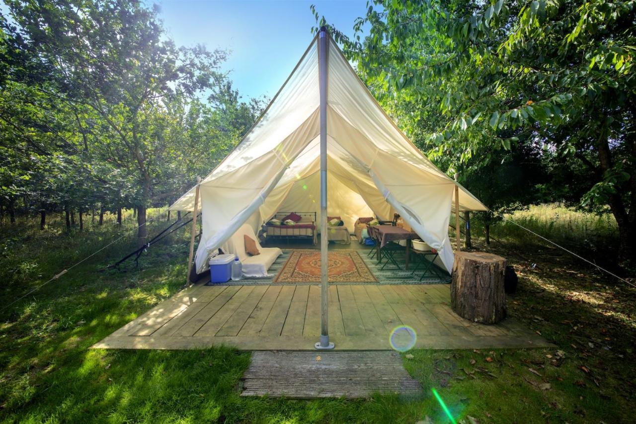 Dgg Woodland Escape Hotel South Barrow Ngoại thất bức ảnh