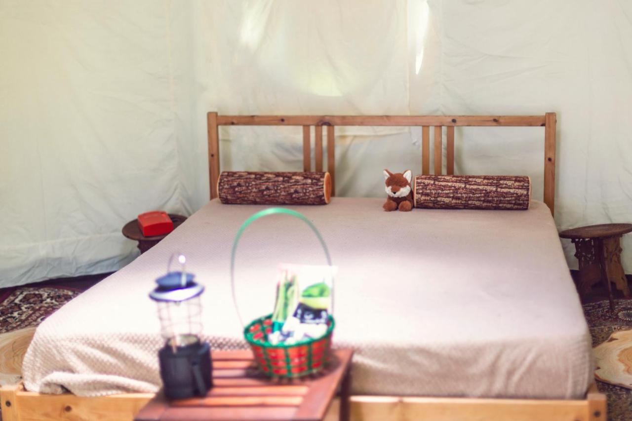 Dgg Woodland Escape Hotel South Barrow Ngoại thất bức ảnh