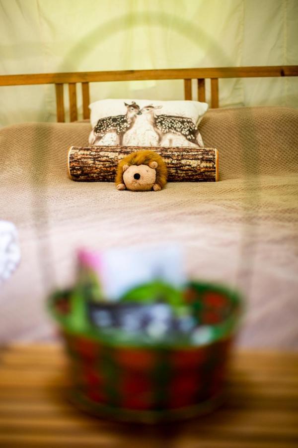 Dgg Woodland Escape Hotel South Barrow Ngoại thất bức ảnh
