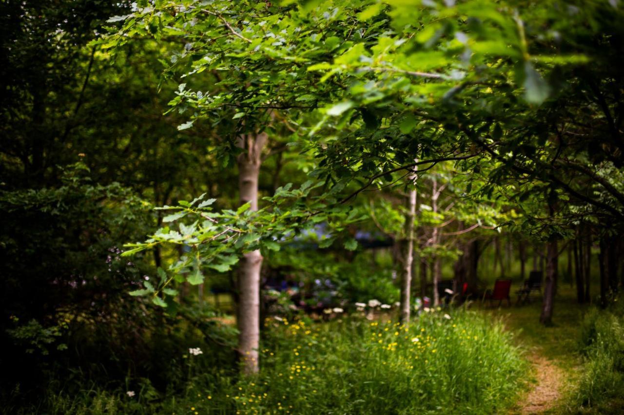 Dgg Woodland Escape Hotel South Barrow Ngoại thất bức ảnh