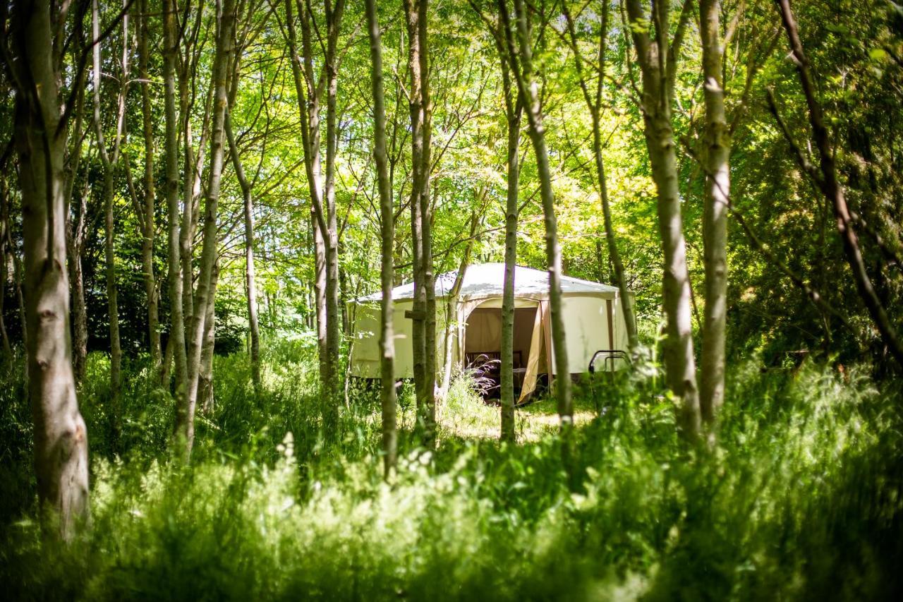 Dgg Woodland Escape Hotel South Barrow Ngoại thất bức ảnh