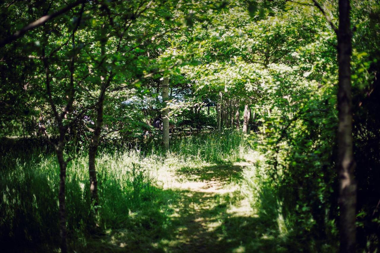 Dgg Woodland Escape Hotel South Barrow Ngoại thất bức ảnh