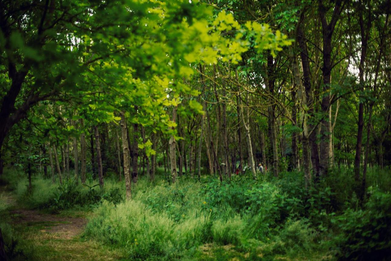Dgg Woodland Escape Hotel South Barrow Ngoại thất bức ảnh