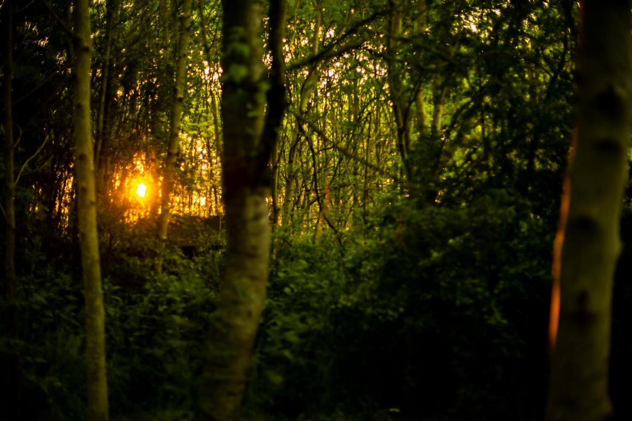 Dgg Woodland Escape Hotel South Barrow Ngoại thất bức ảnh