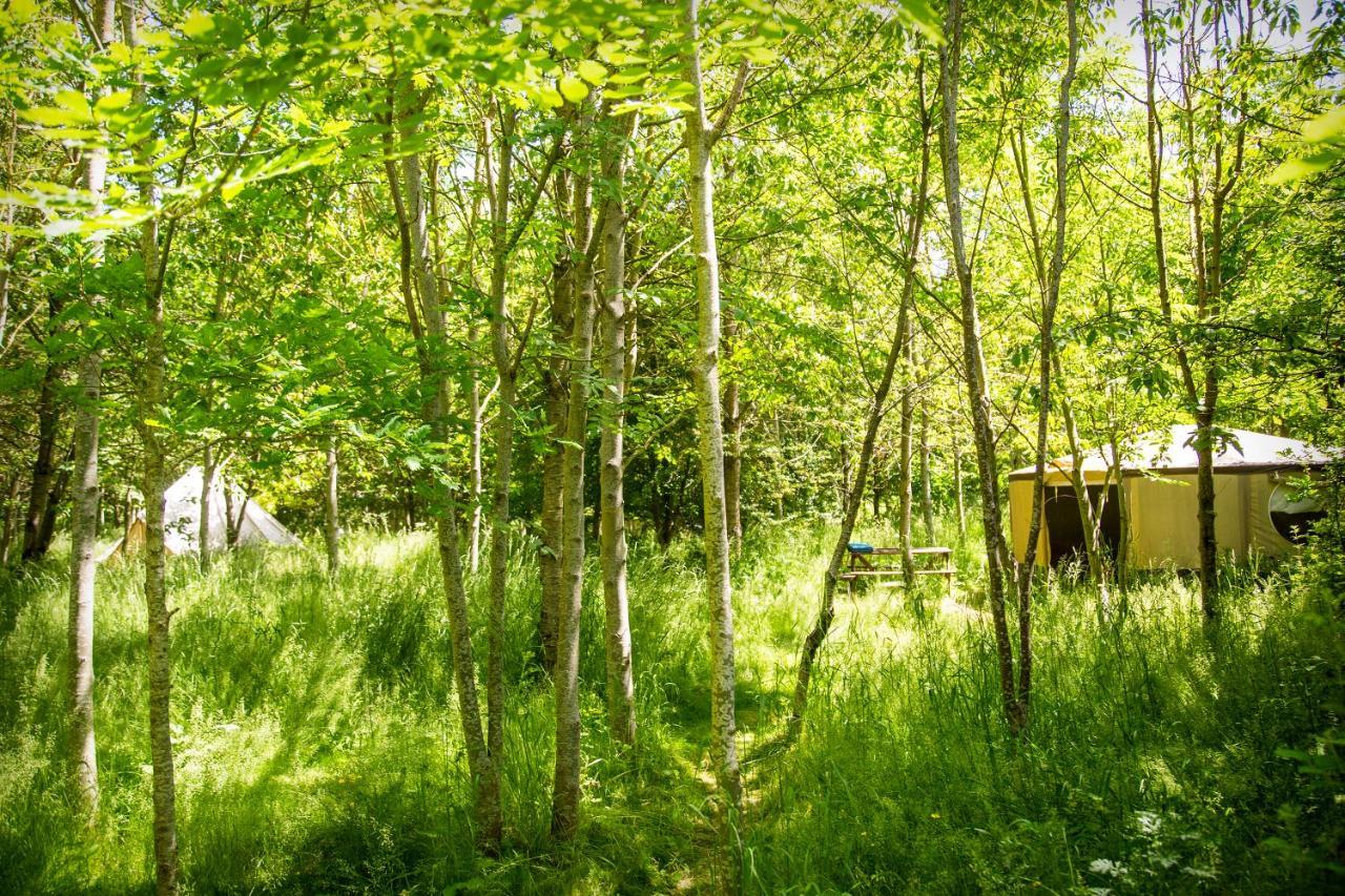 Dgg Woodland Escape Hotel South Barrow Ngoại thất bức ảnh
