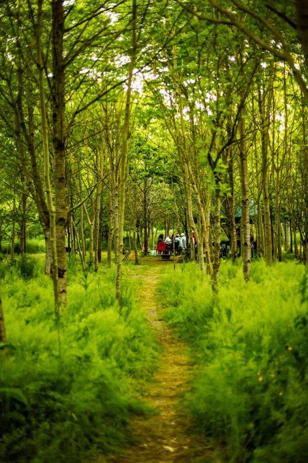 Dgg Woodland Escape Hotel South Barrow Ngoại thất bức ảnh